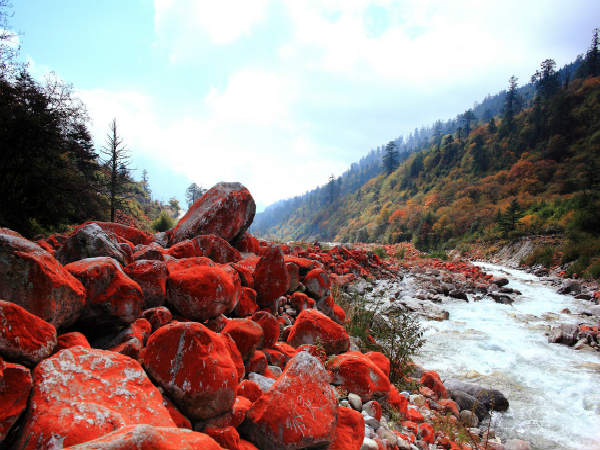 棗陽金紅石礦石