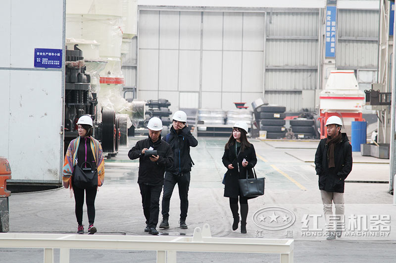 客戶到紅星廠區(qū)進行參觀，并咨詢